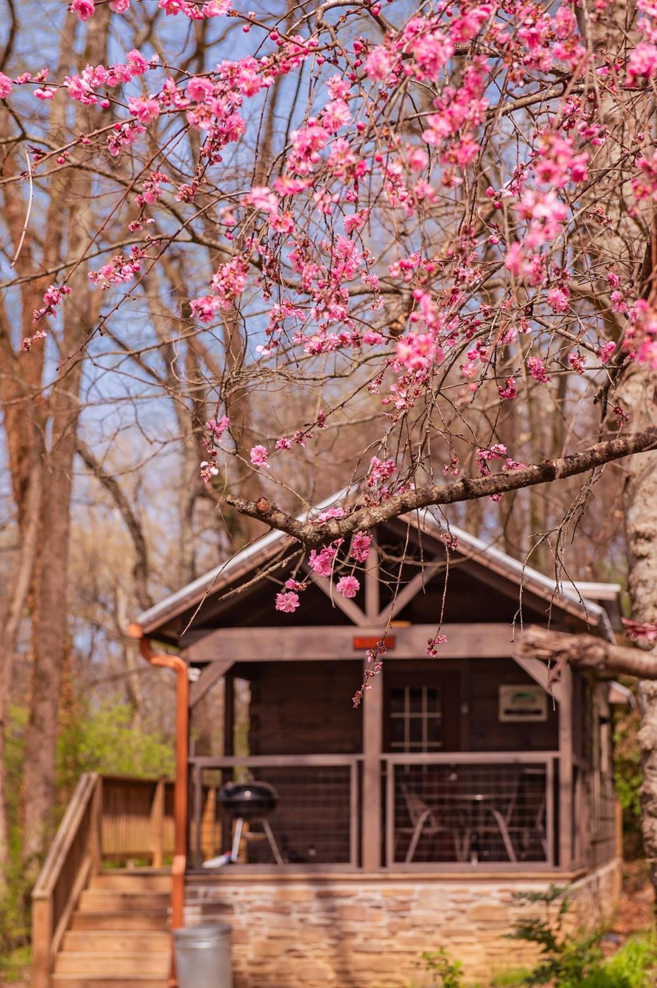 Ryon Tiny Home Cabin City-Side Rustic Retreat Chattanooga Zewnętrze zdjęcie